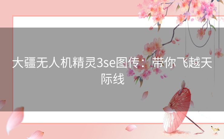 大疆无人机精灵3se图传：带你飞越天际线