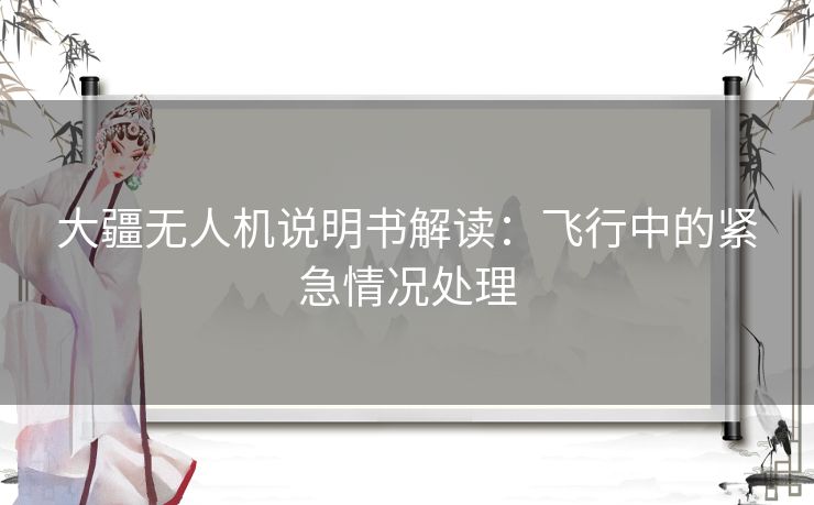 大疆无人机说明书解读：飞行中的紧急情况处理