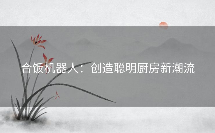 合饭机器人：创造聪明厨房新潮流