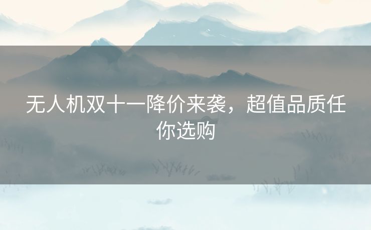 无人机双十一降价来袭，超值品质任你选购