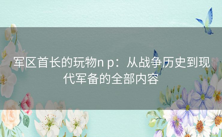 军区首长的玩物n p：从战争历史到现代军备的全部内容