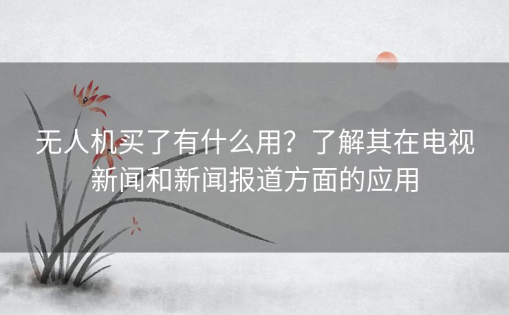 无人机买了有什么用？了解其在电视新闻和新闻报道方面的应用