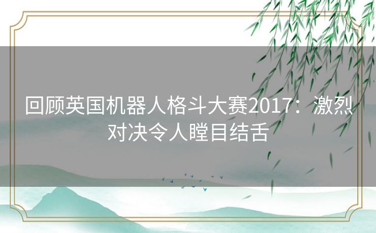 回顾英国机器人格斗大赛2017：激烈对决令人瞠目结舌