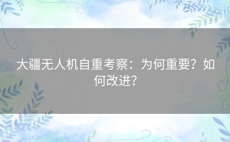 大疆无人机自重考察：为何重要？如何改进？