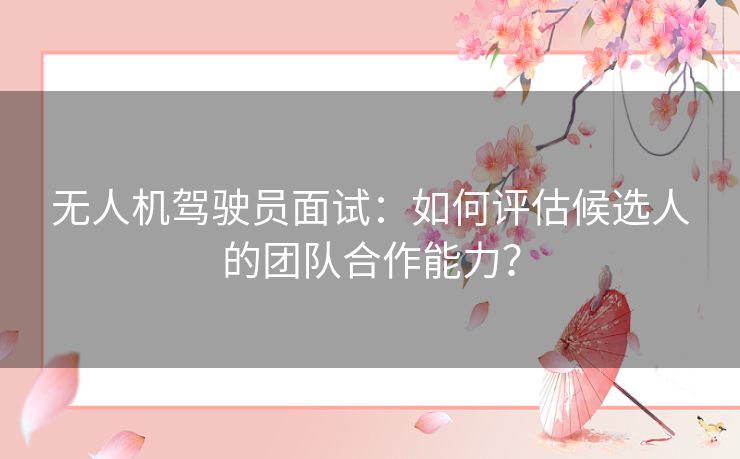 无人机驾驶员面试：如何评估候选人的团队合作能力？