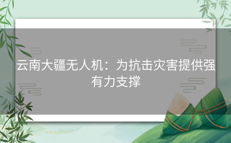 云南大疆无人机：为抗击灾害提供强有力支撑