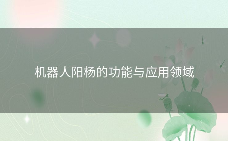 机器人阳杨的功能与应用领域