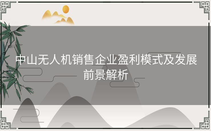 中山无人机销售企业盈利模式及发展前景解析