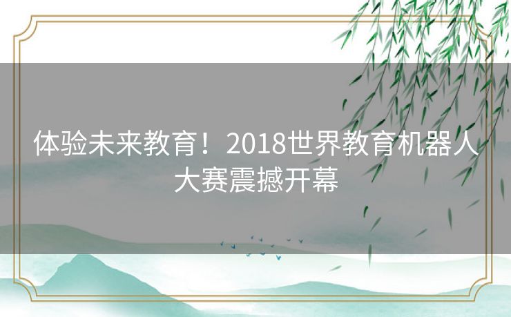 体验未来教育！2018世界教育机器人大赛震撼开幕