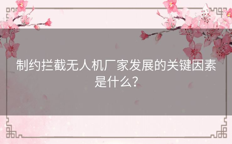 制约拦截无人机厂家发展的关键因素是什么？