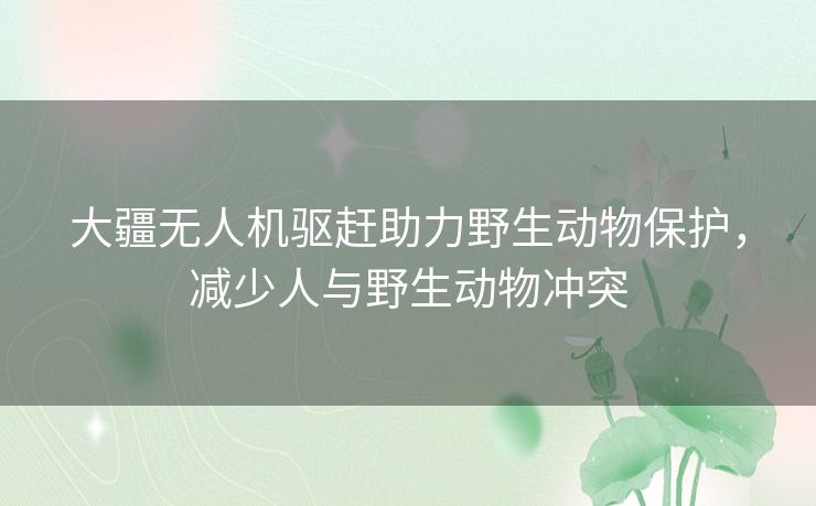 大疆无人机驱赶助力野生动物保护，减少人与野生动物冲突