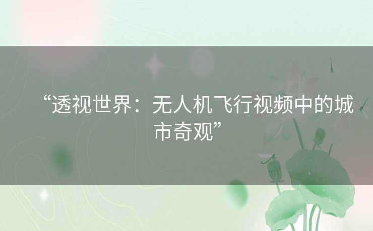 “透视世界：无人机飞行视频中的城市奇观”