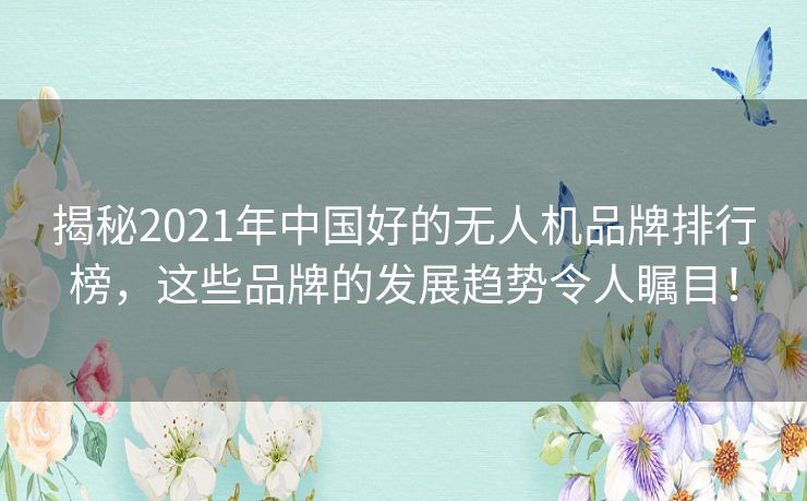 揭秘2021年中国好的无人机品牌排行榜，这些品牌的发展趋势令人瞩目！