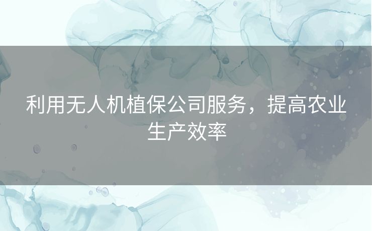 利用无人机植保公司服务，提高农业生产效率