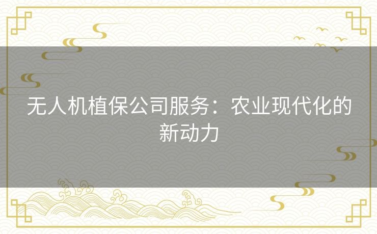 无人机植保公司服务：农业现代化的新动力