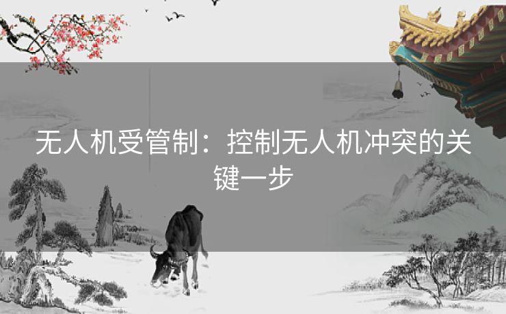 无人机受管制：控制无人机冲突的关键一步