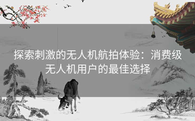 探索刺激的无人机航拍体验：消费级无人机用户的最佳选择