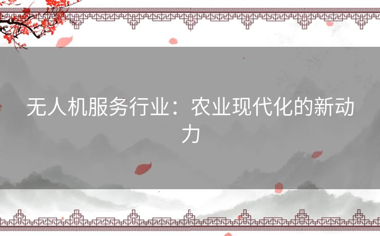 无人机服务行业：农业现代化的新动力