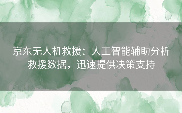 京东无人机救援：人工智能辅助分析救援数据，迅速提供决策支持