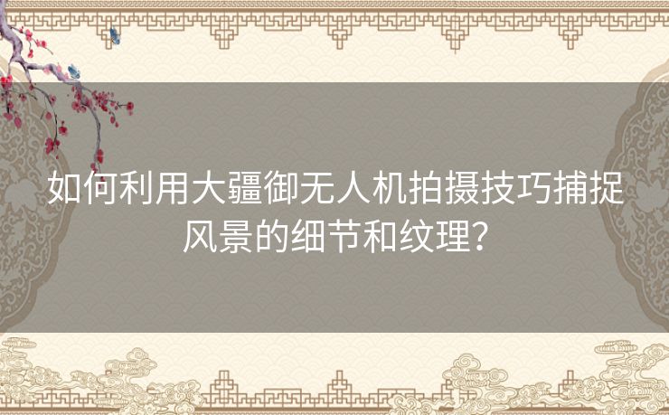 如何利用大疆御无人机拍摄技巧捕捉风景的细节和纹理？