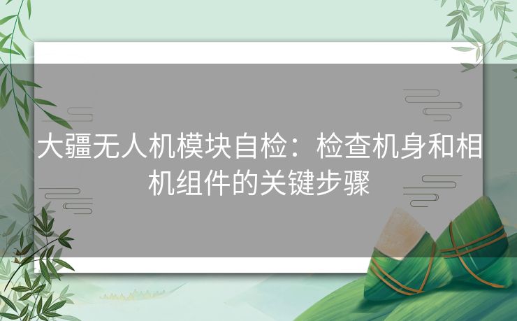 大疆无人机模块自检：检查机身和相机组件的关键步骤