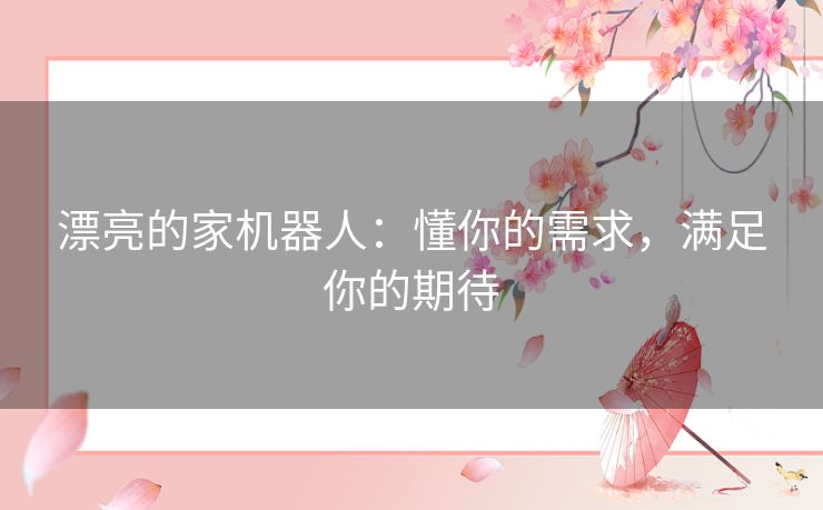 漂亮的家机器人：懂你的需求，满足你的期待