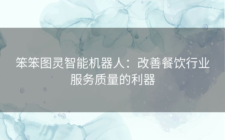 笨笨图灵智能机器人：改善餐饮行业服务质量的利器