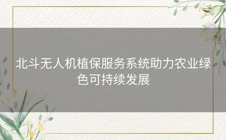 北斗无人机植保服务系统助力农业绿色可持续发展