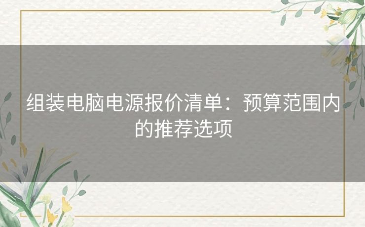 组装电脑电源报价清单：预算范围内的推荐选项