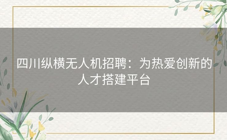 四川纵横无人机招聘：为热爱创新的人才搭建平台