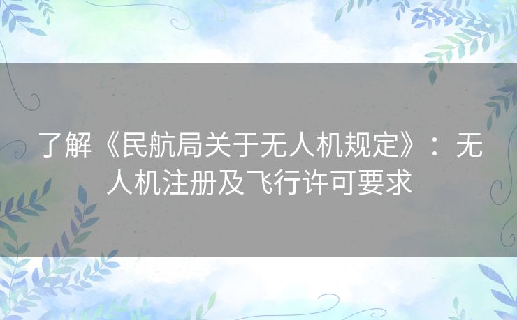 了解《民航局关于无人机规定》：无人机注册及飞行许可要求