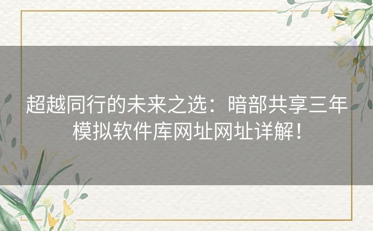 超越同行的未来之选：暗部共享三年模拟软件库网址网址详解！