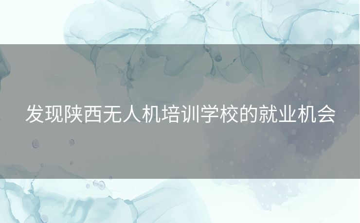 发现陕西无人机培训学校的就业机会