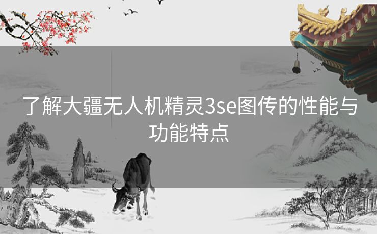 了解大疆无人机精灵3se图传的性能与功能特点