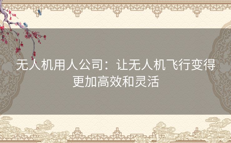 无人机用人公司：让无人机飞行变得更加高效和灵活