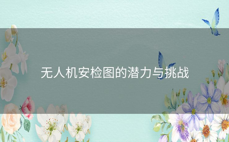 无人机安检图的潜力与挑战