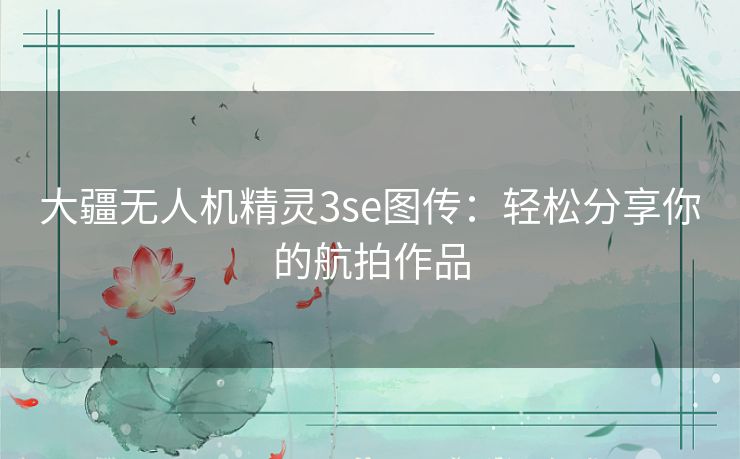 大疆无人机精灵3se图传：轻松分享你的航拍作品